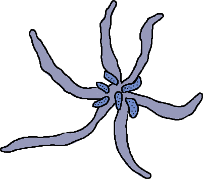 Une plante à tentacules bleues.